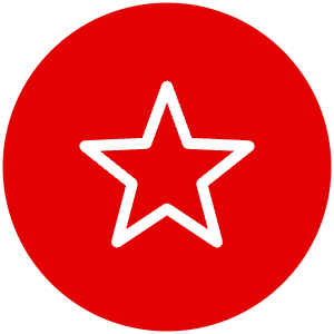 Confidence icon