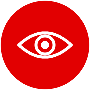 Mindset icon